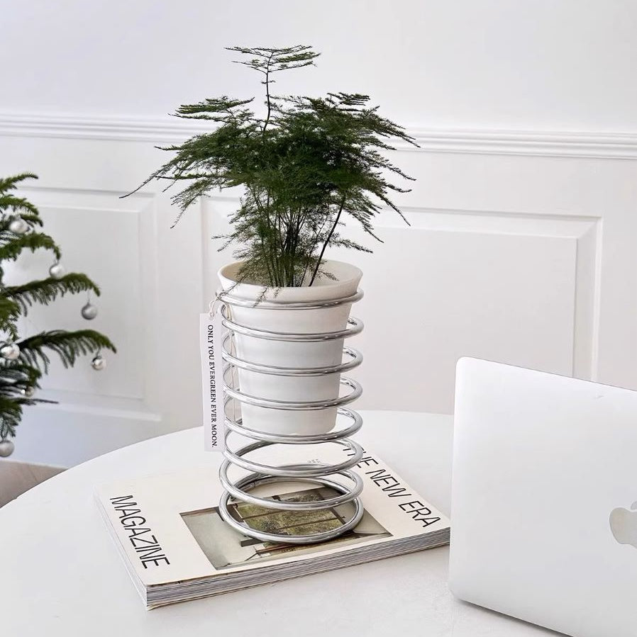 Spring Plant Stand
